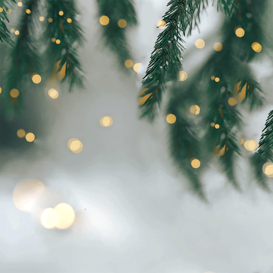 Winter Lights Background Photo